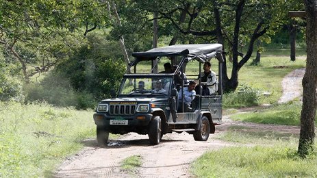 Jeep Safaris into BRT Depths