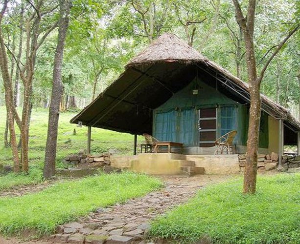 Tour Image